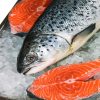 Salmon in kenya - Delicious salmon delivered all the way from the cold clear waters of Norway. We serve the best Quality Norwegian Salmon In Kenya